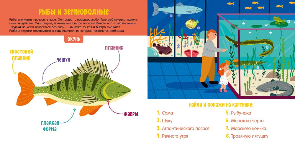 Животные. Визуальный словарь