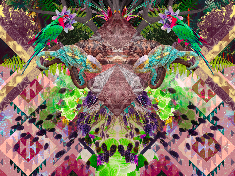 Коллекция GEOTROPICK