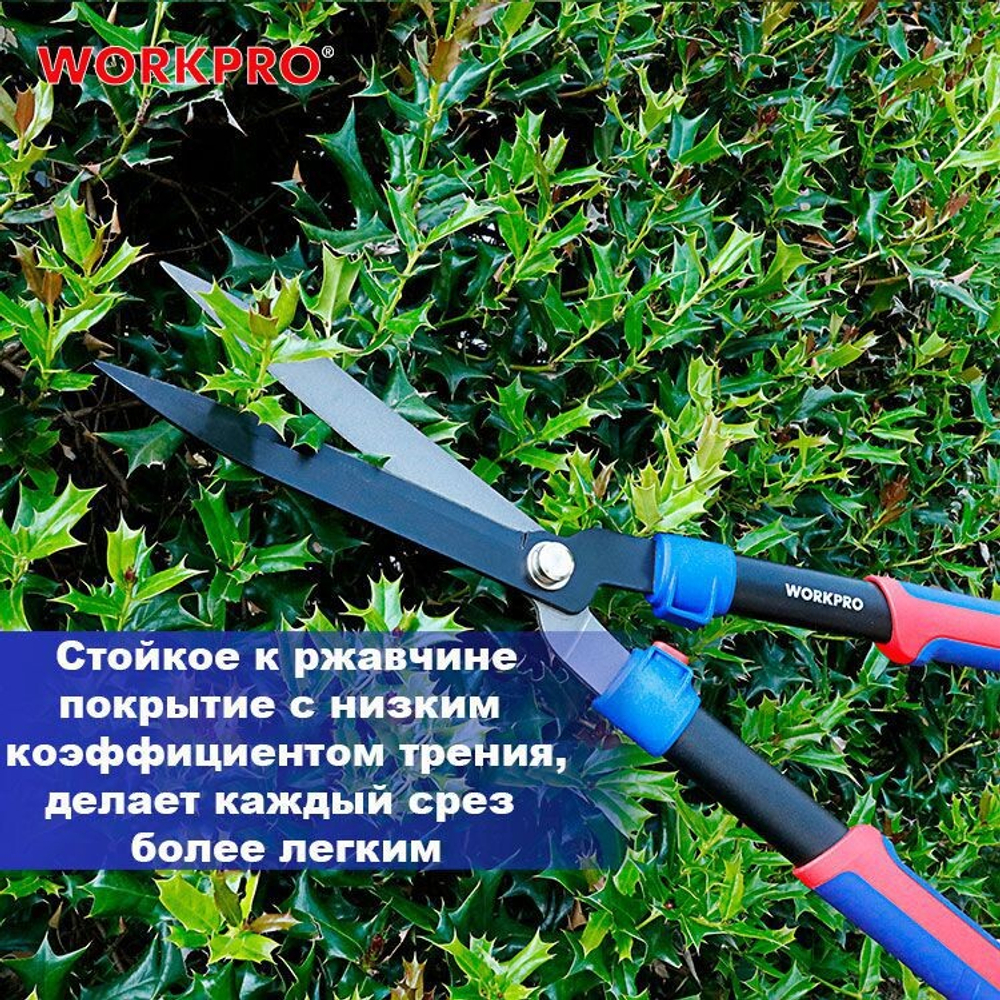 3065-gthumb-gmarkdatalogo1.png-gmarkposdatabottom-right