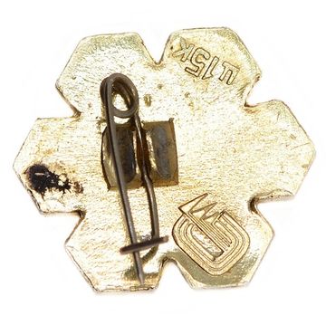 Значок "Хоккей. Снежинка" СССР, булавка