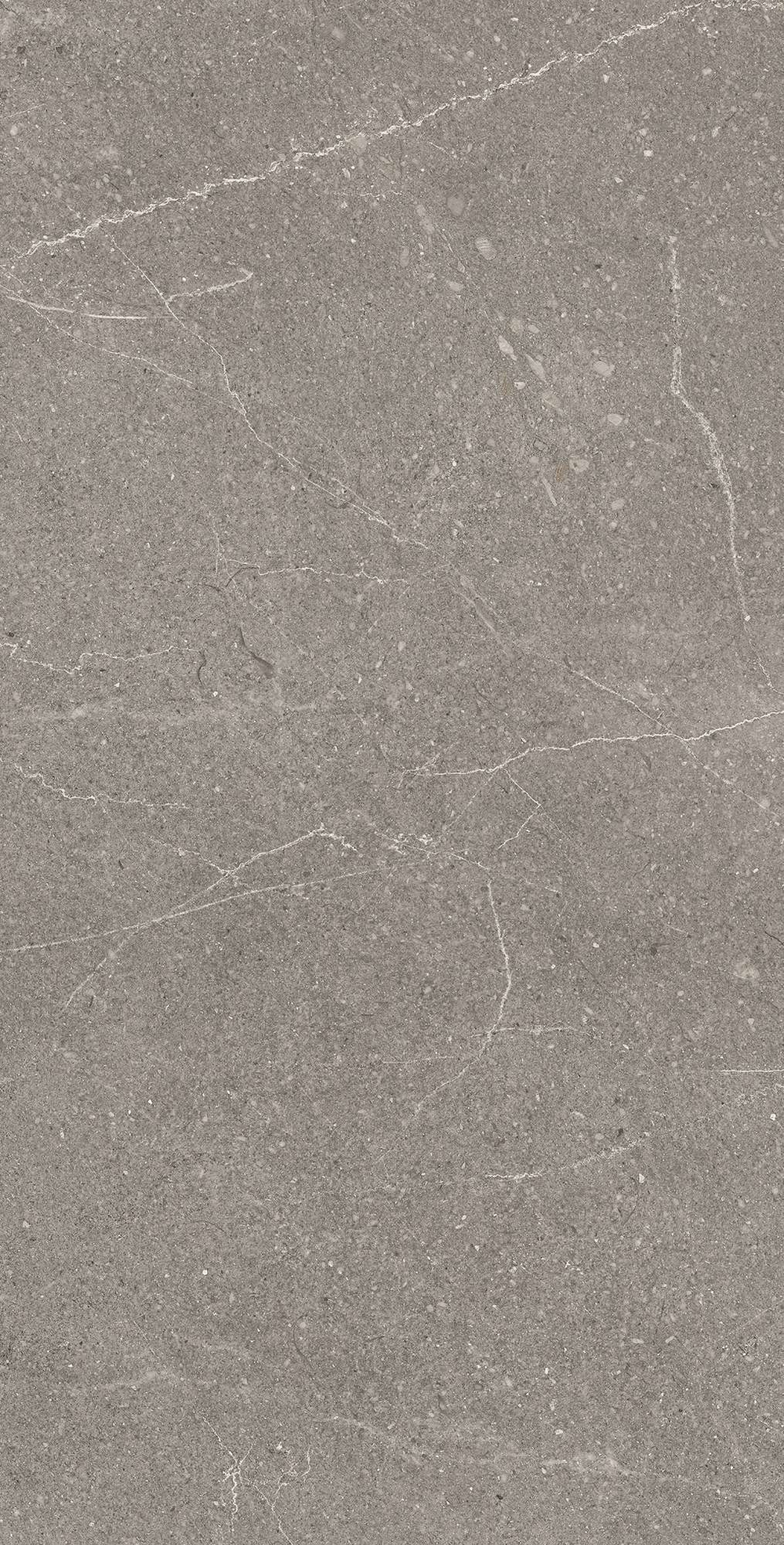 Керамогранит, Arcadia Ceramica, EQUISTONE GRAPHITE, 1200x600 мм, матовая с микрогранулами