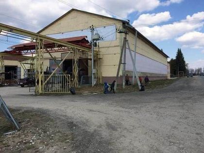 Сотрудники СтройМаркета ДляСтроителей.рф приняли участие в субботнике