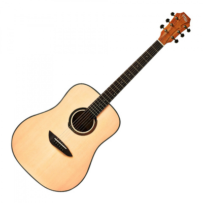 Акустическая гитара Gopherwood G100 NS