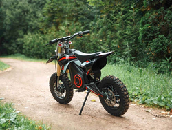 Электрический питбайк BUTCH X1 1.3 kW 12-10 2023 г