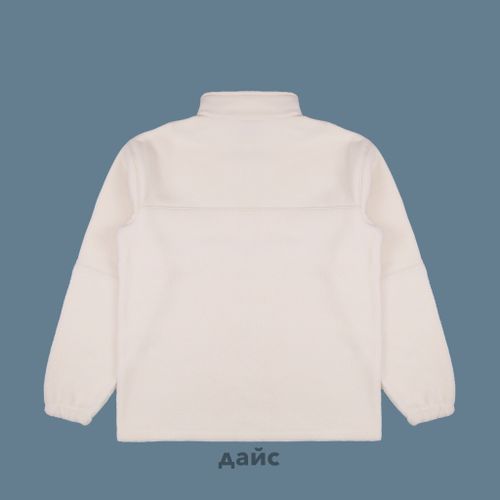 Толстовка мужская Dickies Pinesdale 1/4 Zip артикул:DK0A864DF901 - купить в магазине Дайс