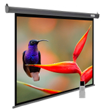 Экран  Cactus CS-PSSME-220X138-DG