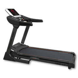 BRONZE GYM T812 LC