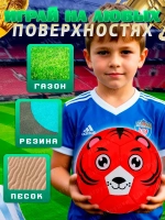 Мяч футбольный размер 2 детский