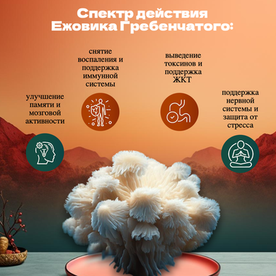 Всё про Ежовик Гребенчатый