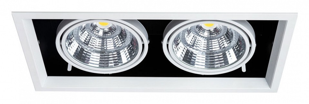 Встраиваемый светильник Arte Lamp A8450PL-2WH