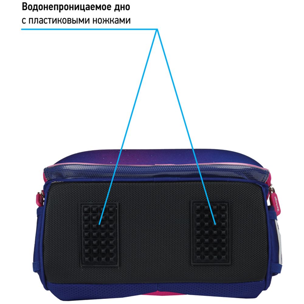 Ранец Berlingo Expert Akita boy 37х28х16см, 2 отд., с анатомической спинкой