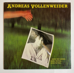 Винтажная виниловая пластинка LP Andreas Vollenweider Behind The Gardens Behind The Wall Under The Tree (Germany 1981)