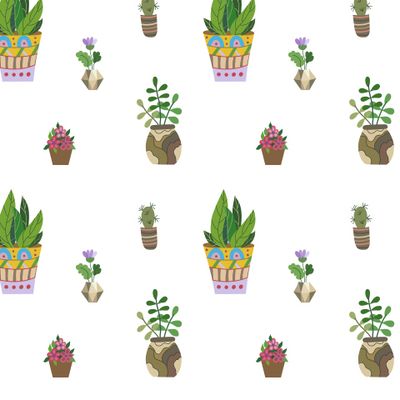 Цветы кактус, фиалка, герань, алоэ. Ботанический рисунок комнатных растений.