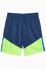 Шорты Puma individualCUP