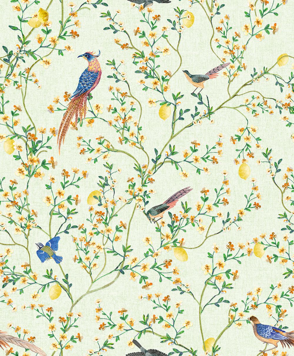 Gloockler Pompoos Provence