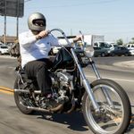 Gringo Flat / Матовый / Серый