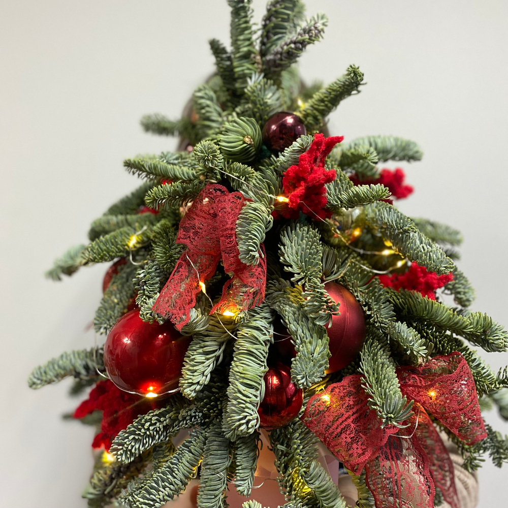 Ёлка из нобилиса с ёлочными игрушками в красном цвете 1061