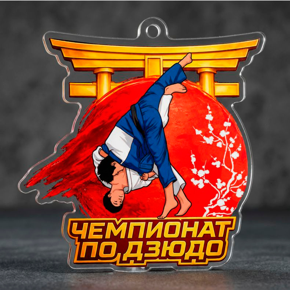 Акриловая медаль Дзюдо 1758-050