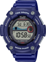 Мужские наручные часы Casio Collection WS-1300H-2A