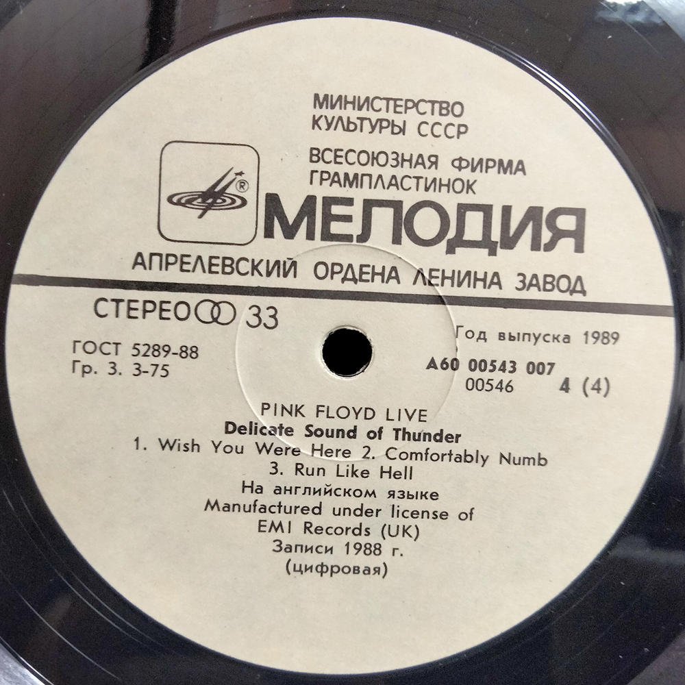 Pink Floyd / Delicate Sound Of Thunder (2LP)