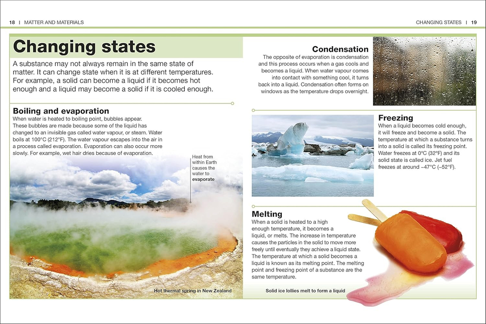 Science (Pocket Eyewitness)