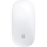 Magic Mouse - White Multi-Touch Surface,Model A3204