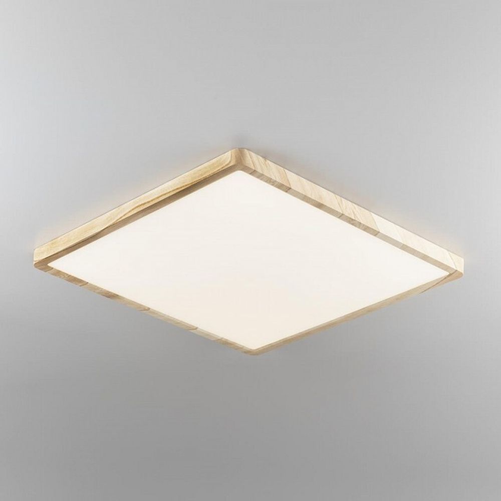 Накладной светильник Citilux Бейсик CL738K502V