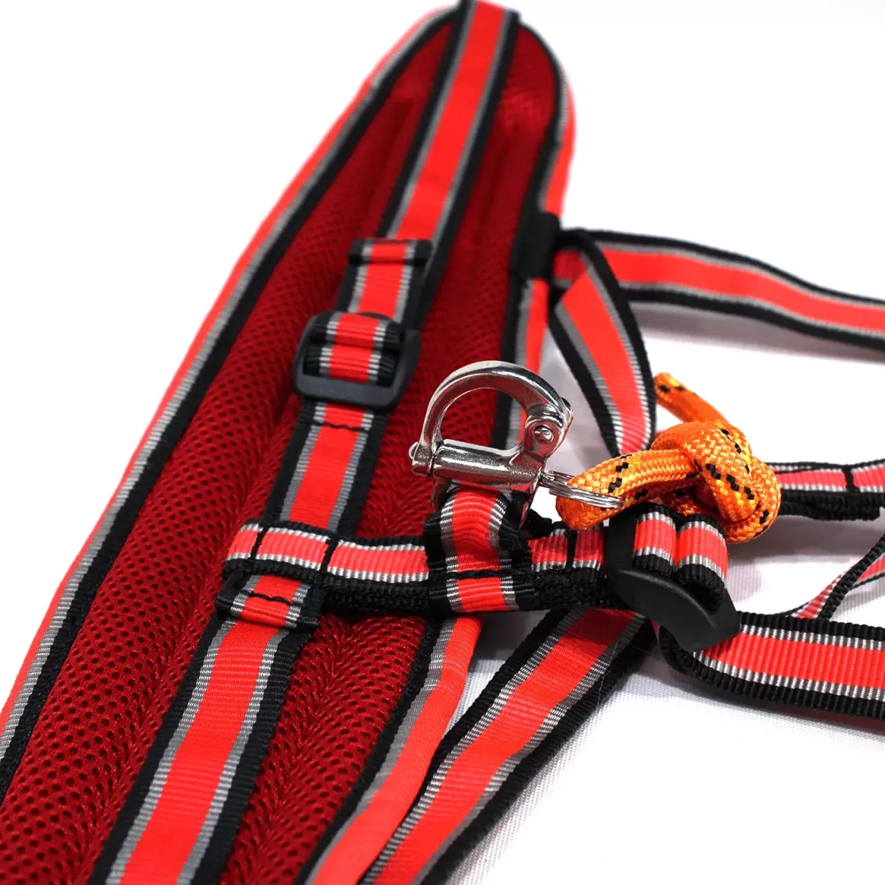 Пояс для каникросса в комплекте с потягом White Wolf серия Спорт