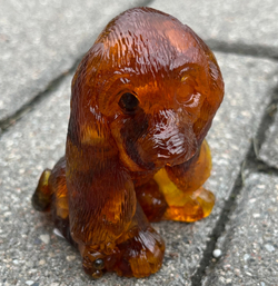 Щенок Бассет-хаунд