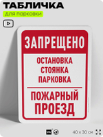 Табличка для парковки "Парковки нет, это место зарезервировано", для дома, офиса, организаций, 40х30 см, Silver Plane x Айдентика Технолоджи