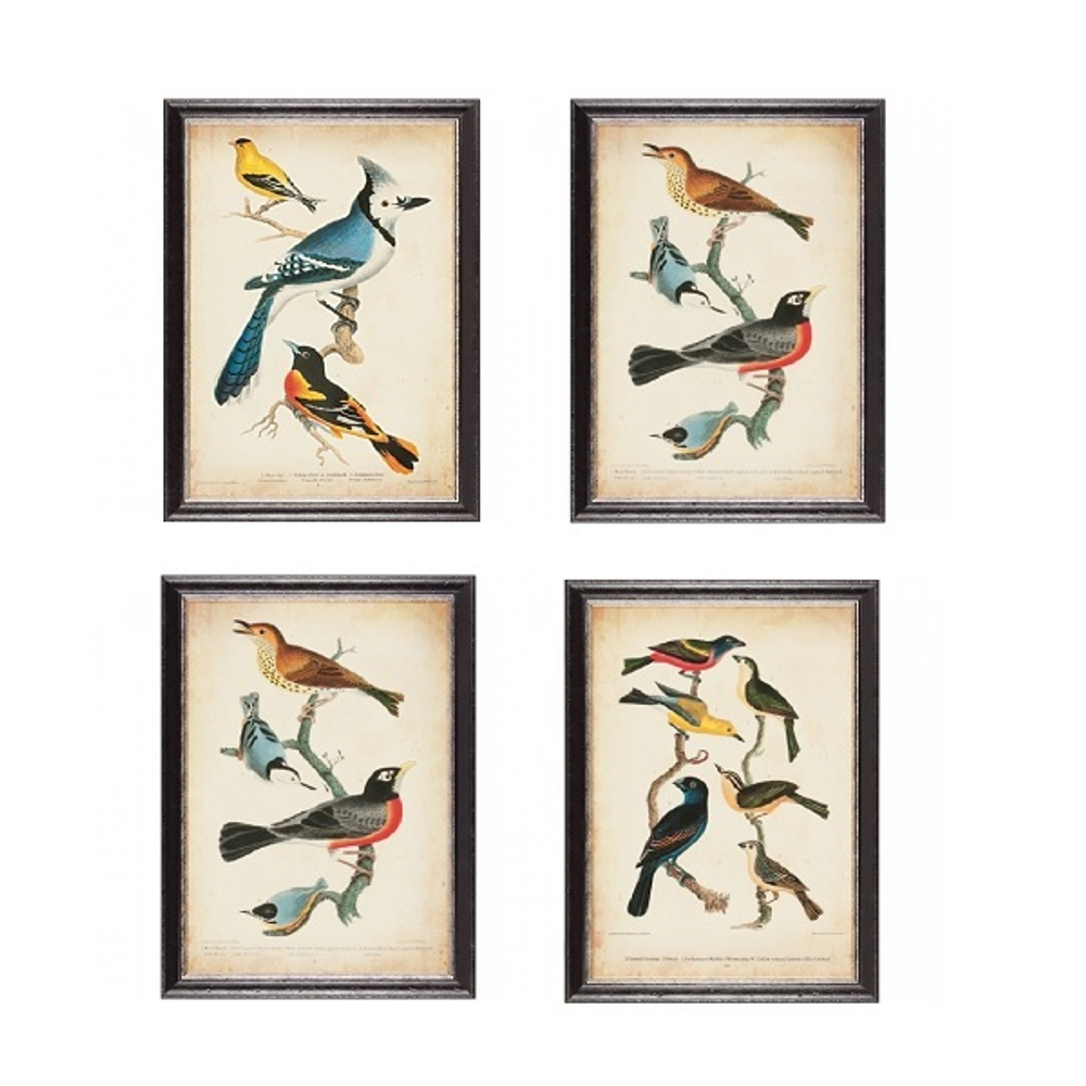 Постер Птицы 40х60 см [Арт. RS3648/10A95BL]