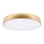 Потолочный светодиодный светильник Loft It Flims 10228/A