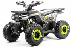Квадроцикл Motoland 125 WILD A