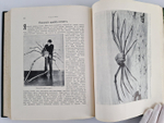 "Чудеса природы. Популярные очерки, посвященный описанию любопытнейших явлений и достопримечательностей трех царств природы. В 2-х томах". В.М.Шимкевич. 1915г. - антикварная книга