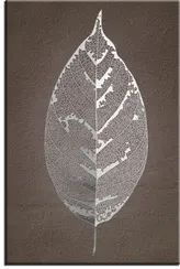 Постер "Серебряный лист"