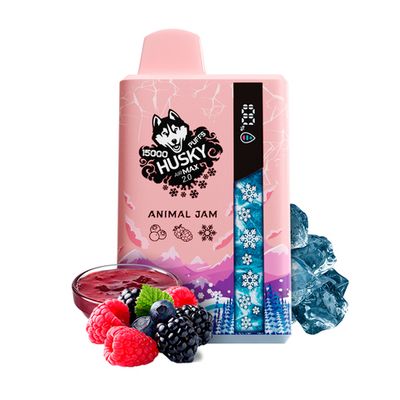 HUSKY AIR MAX 2.0 15000