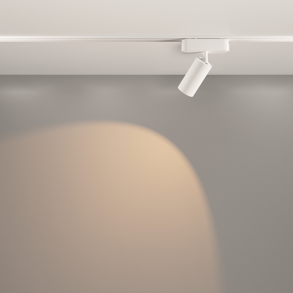 Магнитный трековый светильник Maytoni Focus LED TR103-1-12W3K-M-W