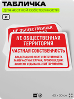 Табличка для частной территории "Не общественная территория, частная собственность", на дом, для участка, организаций, предупреждающая, 40х30 см, Silver Plane x Айдентика Технолоджи