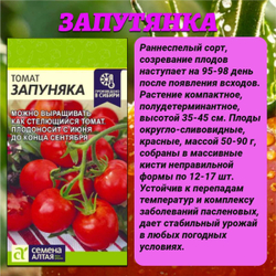 Лучшие сорта томата. Семена Алтая
