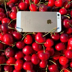Черешня отборная фермерская (Тамань) / 1 кг