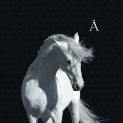 Аквариум – Лошадь Белая LP