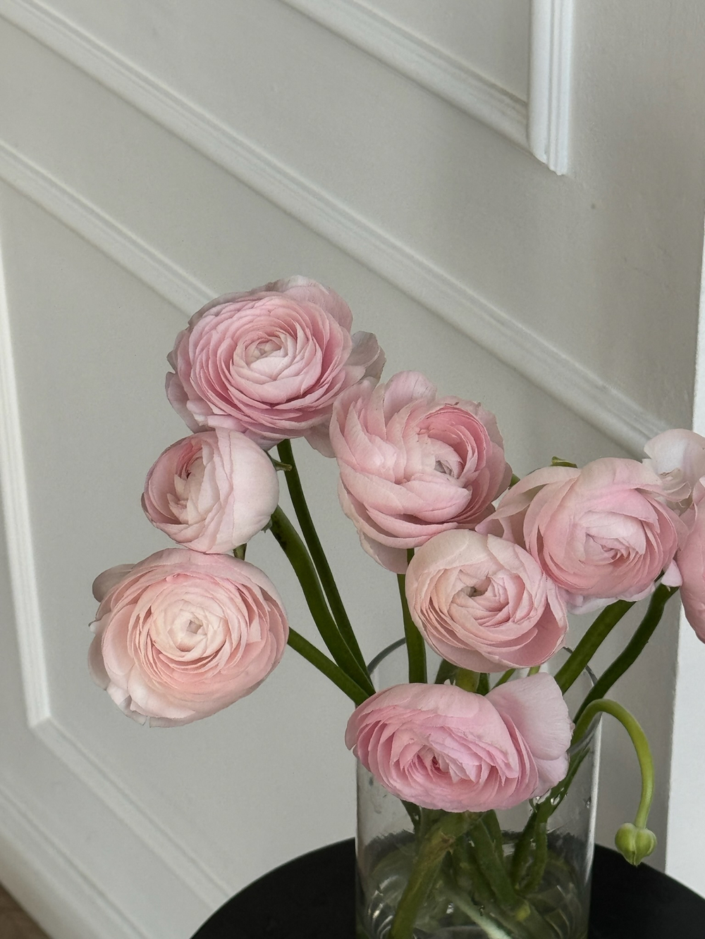 Ранункулюс в розовом оттенке