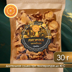 Лисички сушеные.