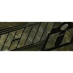 Battlescar / Камуфляж