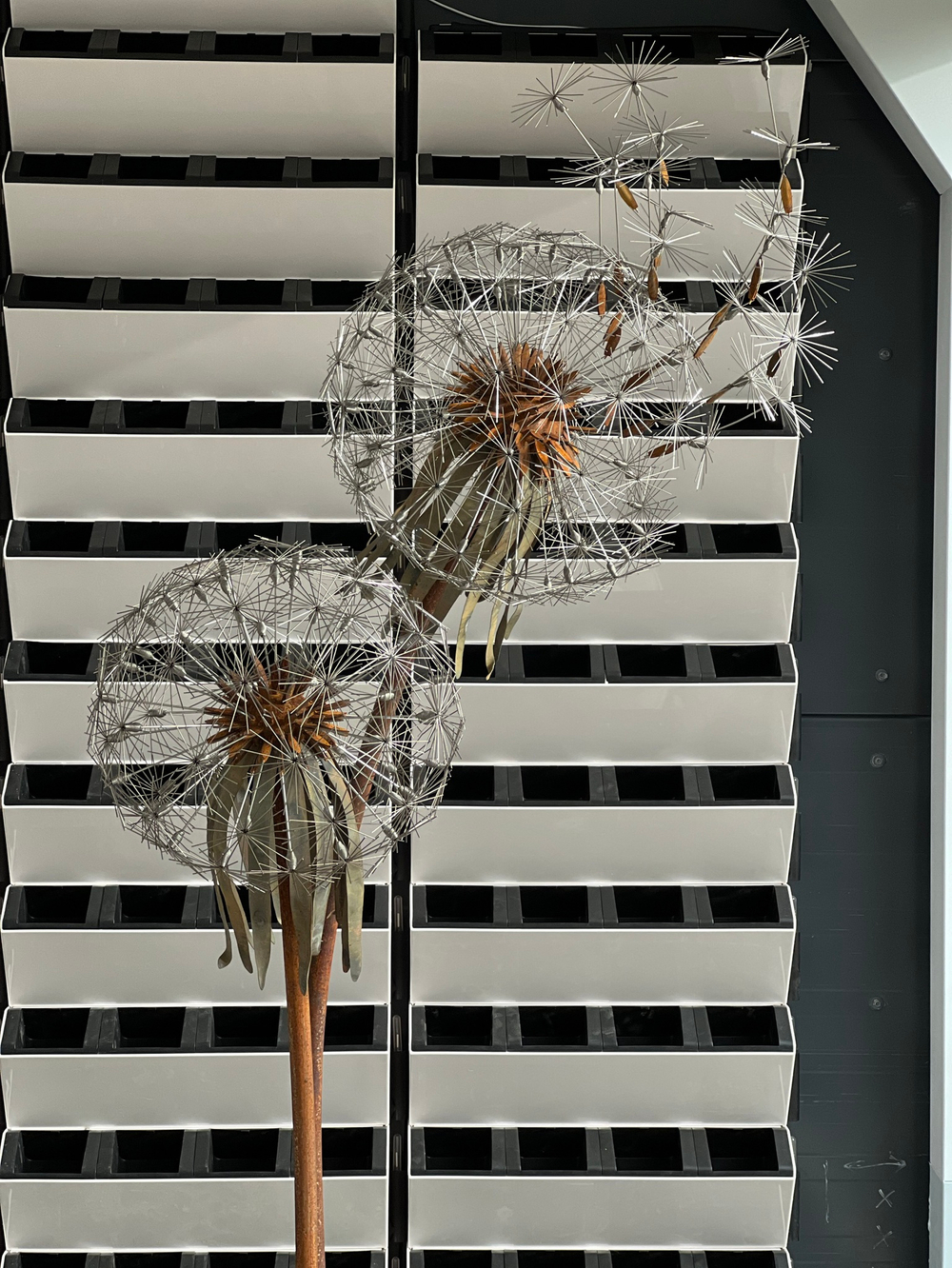 Вертикальное озеленение живыми растениями. В проекте использовалось оборудование "Hydro Falls"