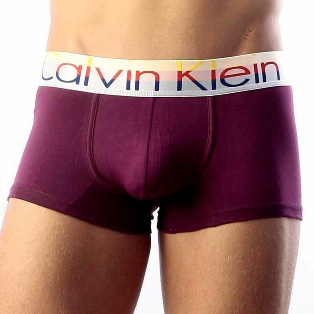 Мужские трусы хипсы Calvin Klein Steel Multicolor Purple