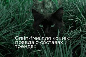 Grain‑free для кошек: правда о составах, трендах и кому что подходит