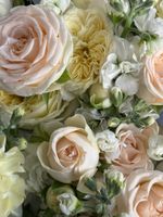 Сборный букет из кустовой пионовидной розы,маттиолы и диантусов