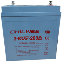 Тяговая аккумуляторная батарея Chilwee 3-EVF-200A
