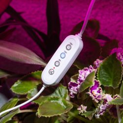 Таймер для светильника ЭРА FITO-LINETIME-2 pin (9/12/15 H)-GR с проводом 1,5 м | Аксессуары для фито светильников